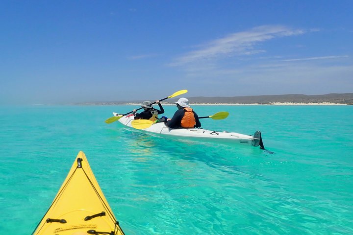 Lagoon Explorer - Ningaloo Reef Full-Day Kayaking and Snorkeling Adventure - WA Accommodation