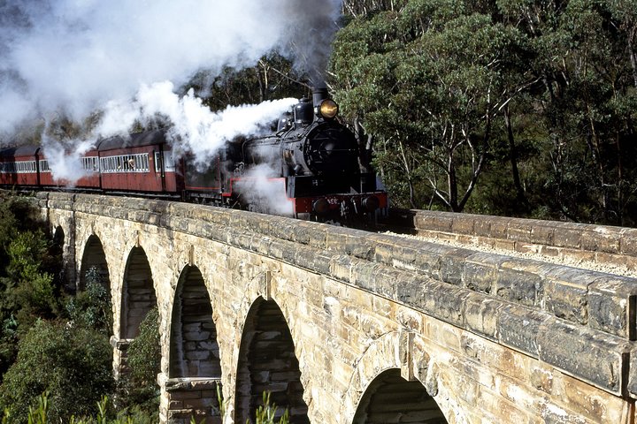 [Private Tour] Healesville Sanctuary Wildlife & Puffing Billy Steam Train - thumb 2