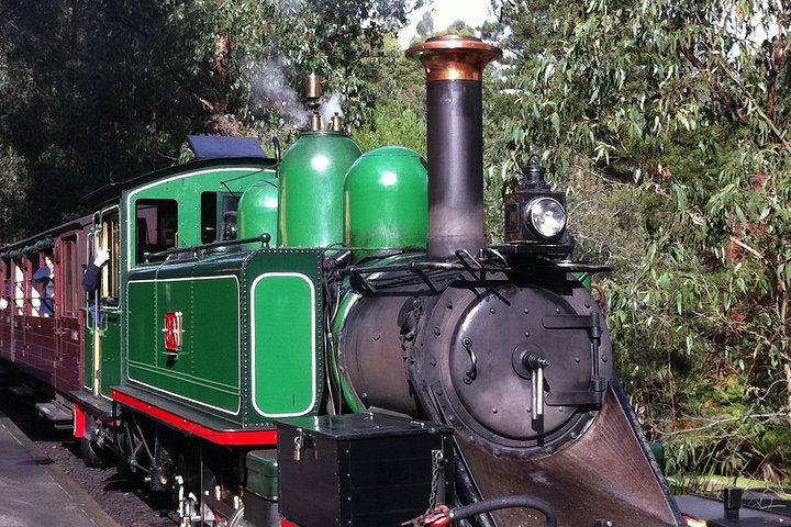 [Private Tour] Healesville Sanctuary Wildlife & Puffing Billy Steam Train - Accommodation Australia 5