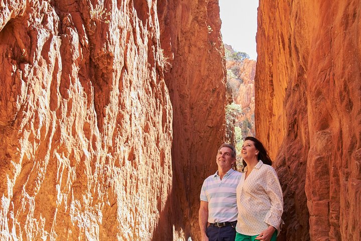 Best Of Alice Springs Full Day Tour - thumb 4