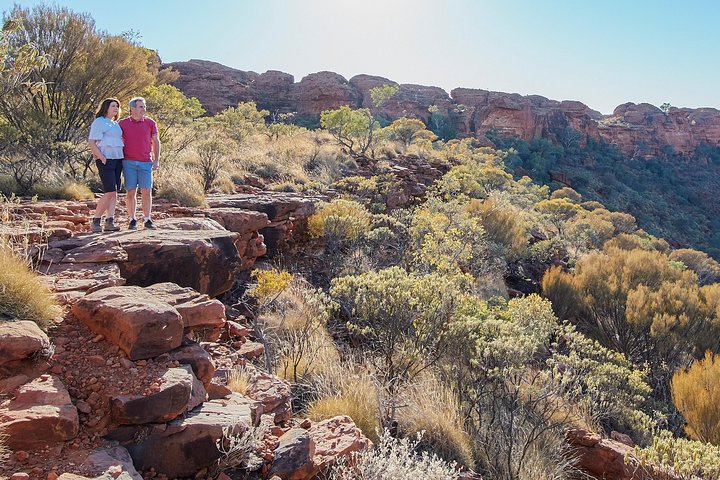 Kings Canyon Day Trip From Ayers Rock (Uluru) - Accommodation NT 1
