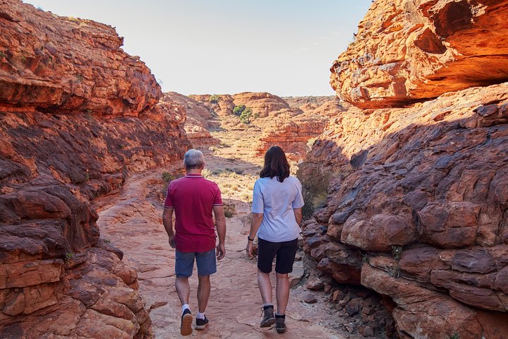 Kings Canyon Day Trip From Ayers Rock (Uluru) - Accommodation NT 5