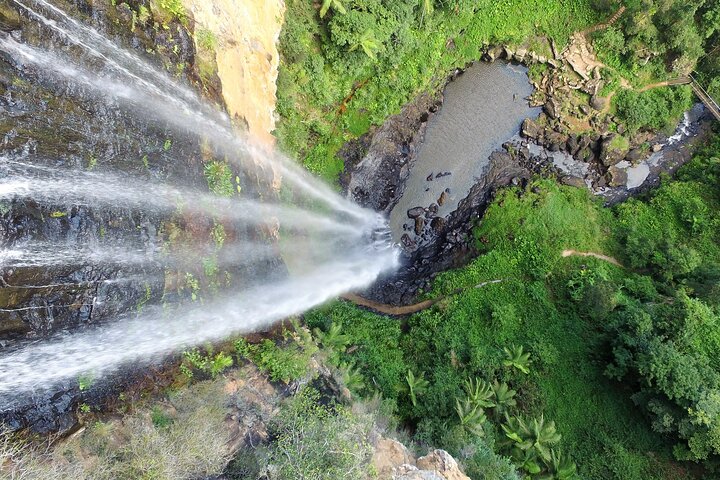 Natural Bridge & Springbrook Waterfalls Tour + Hot Air Balloon With Breakfast - Gold Coast Attractions 1