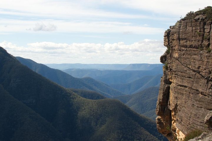 Inside The Greater Blue Mountains World Heritage - A Private Wildlife Safari Overnight - thumb 4