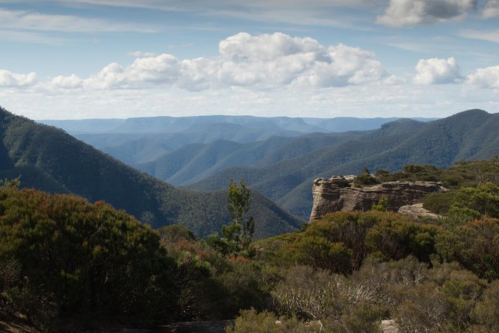 Inside The Greater Blue Mountains World Heritage - A Private Wildlife Safari Overnight - thumb 5