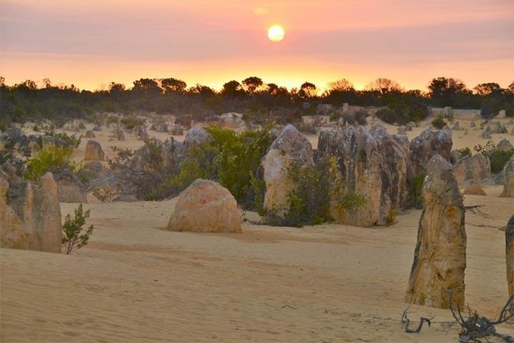 Pinnacle Desert Sunset And Stargazing With Dinner - thumb 5