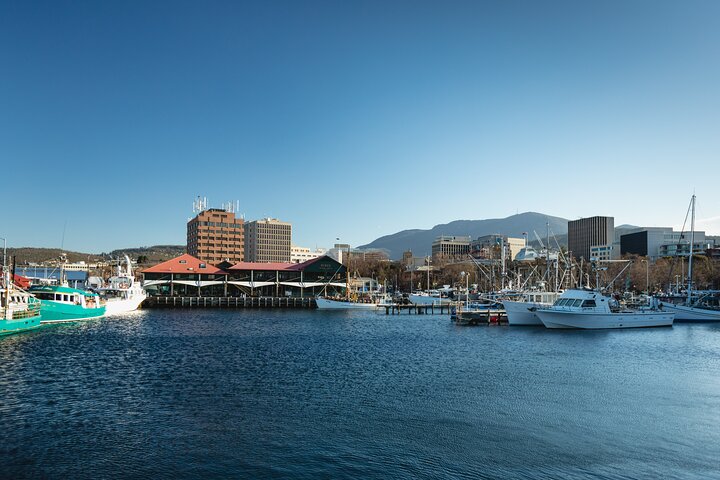 Hobart City Sightseeing Tour Including MONA Admission - thumb 0