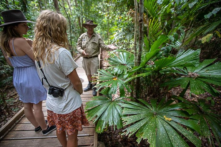 2 Day Daintree Rainforest, Cape Tribulation And Outback Chillagoe Tour - thumb 2