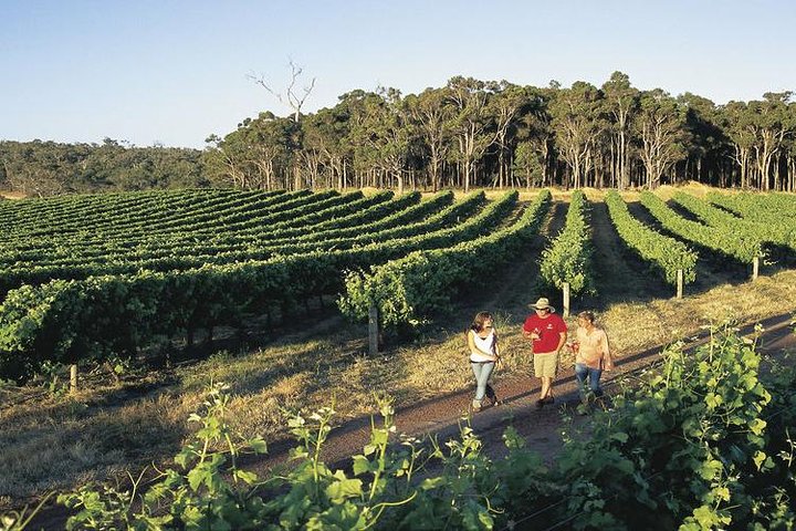 2-Day Margaret River Wine Experience From Perth - Broome Tourism 3