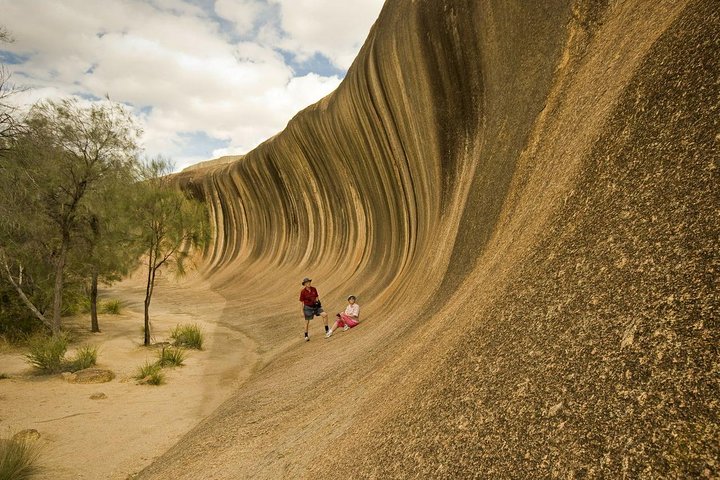 Wave Rock, York, Wildflowers, And Aboriginal Cultural Day Tour From Perth - thumb 5