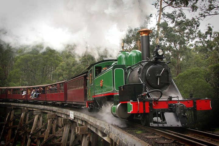Puffing Billy, Wildlife Sanctuary & Penguins Day Tour From Melbourne - thumb 5