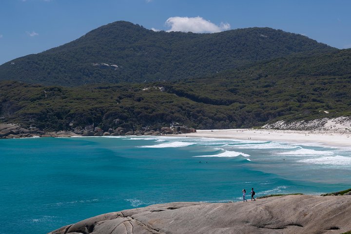 Wilson's Promontory Small Group Eco Tour From Melbourne - thumb 0
