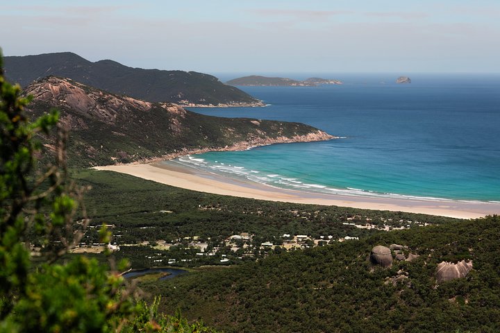 Wilson's Promontory Small Group Eco Tour From Melbourne - thumb 4
