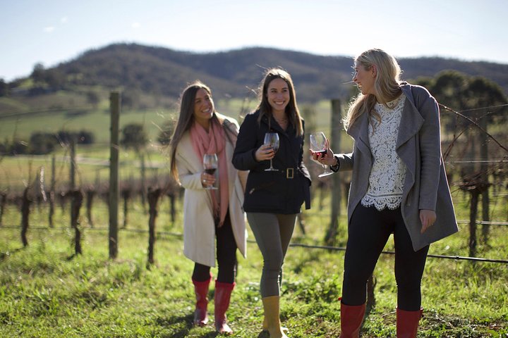 The Ultimate Yarra Valley Food And Wine Small Group Tour (Max 6 Guests) - thumb 4
