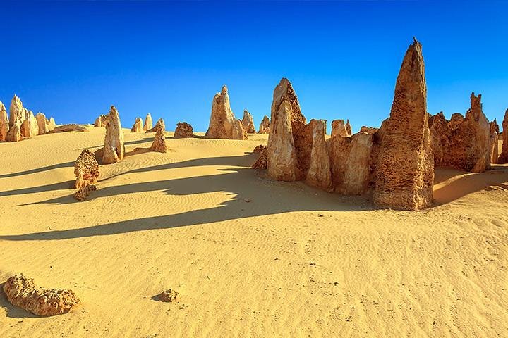 Full-Day Pinnacles Desert And Yanchep National Park Tour From Perth - Kalgoorlie Accommodation 2