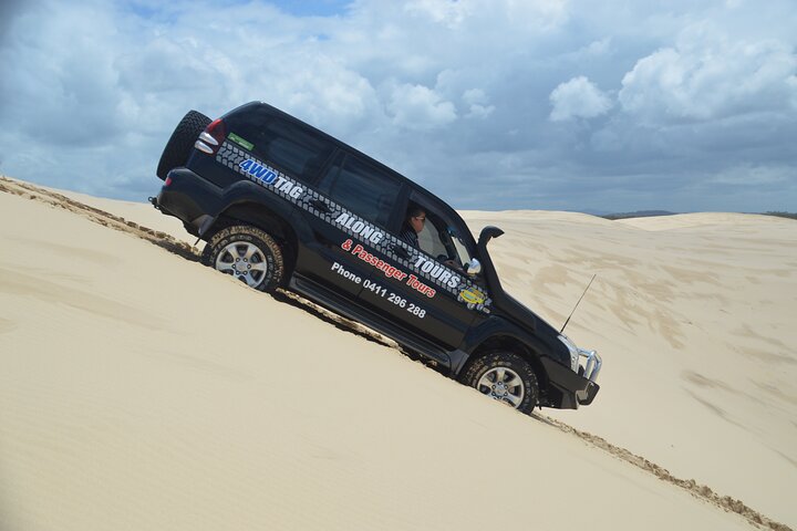 Port Stephens Bush Beach and Sand Dune 4WD Passenger Tour - Newcastle Accommodation