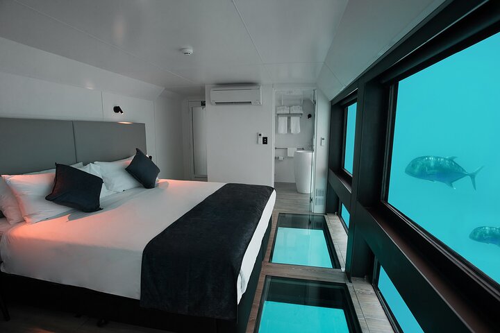 2 Day Great Barrier Reef Reefsuites Experience - SA Accommodation