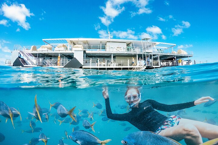 2-Day Great Barrier Reef 