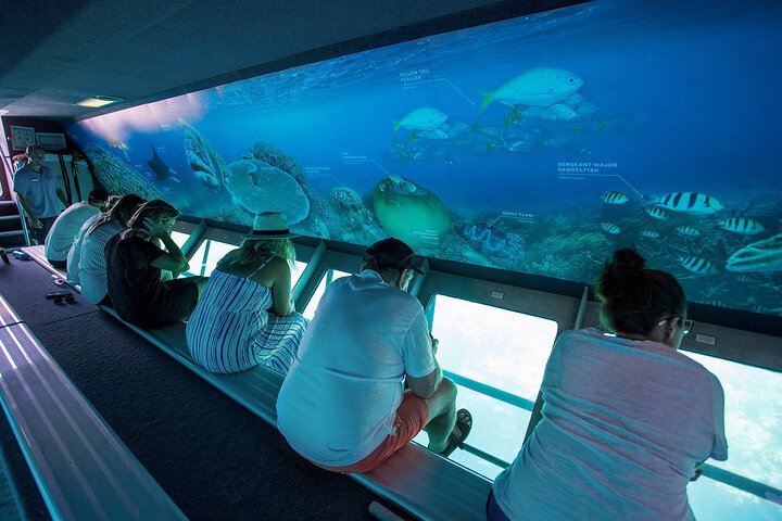 Great Barrier Reef Day Cruise To Reefworld - Accommodation Cairns 0