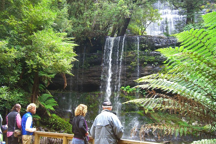 Mt Field National Park And Russell Falls From Hobart - thumb 1