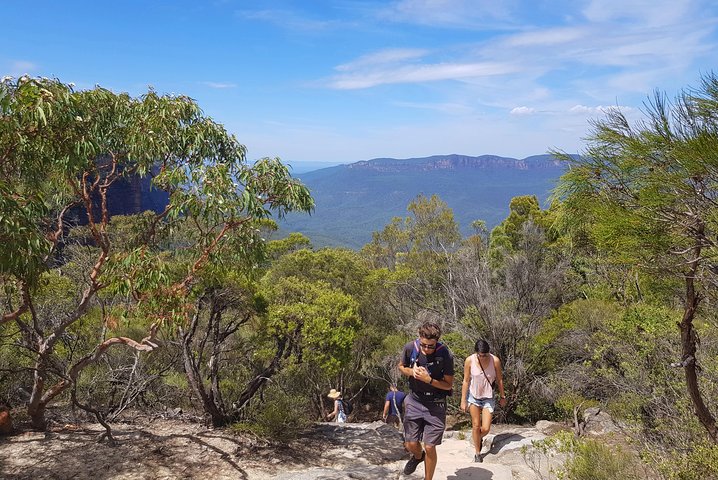 Blue Mountains Unique Small-Group Day Adventure With BBQ Lunch - Accommodation Guide 3