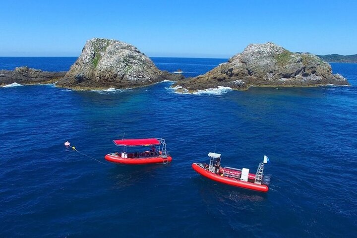 3-Hour Byron Bay Certified Scuba Diving Tour - Accommodation Port Macquarie