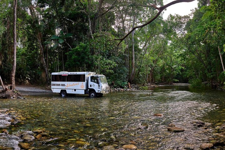 3 Day Cape Tribulation & Cooktown Tour From Cairns Or Port Douglas - thumb 3