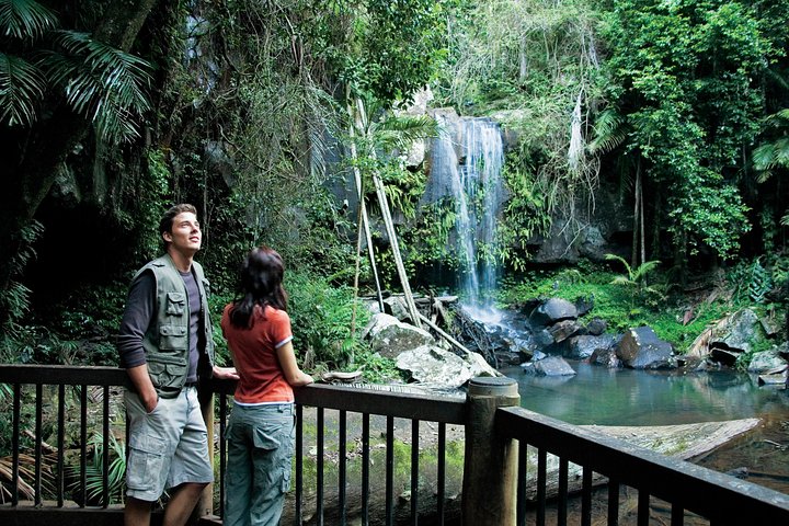 Full Day Small Group Luxury Tour To Tamborine Mountain - Accommodation Airlie Beach 4