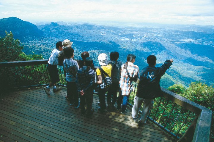 Springbrook National Park  Gold Coast Full Day Luxury Tour from Brisbane - Southport Accommodation