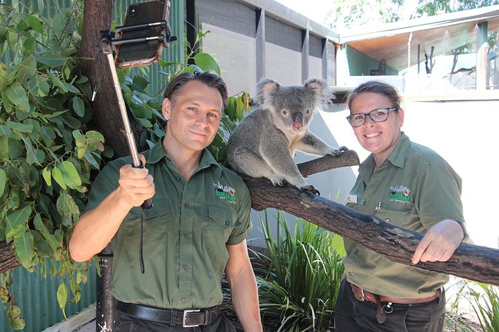 Virtual Interactive Australian Wildlife Tour With Private Guide-Wildlife Habitat - Southport Accommodation
