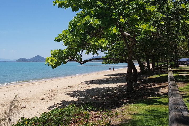 Small-Group Afternoon Cairns City Tour With Harbour Dinner Cruise - Accommodation Cooktown 1