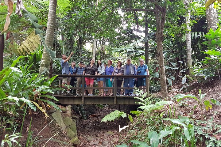 Cairns Shore Excursion: Cairns City Sights & Surrounds Tour - Kingaroy Accommodation 1