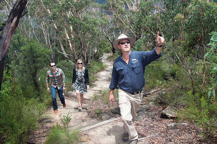 Small-Group Blue Mountains Tour With Bush Walks And Featherdale Wildlife Park - Accommodation Nelson Bay 0