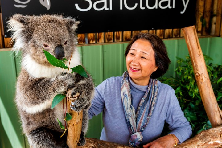 Moonlit Sanctuary Wildlife Conservation Park Daytime General Entry Ticket - Accommodation Great Ocean Road