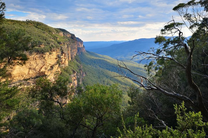 Blue Mountains Day Tour With Wildlife At Sunset From Sydney - thumb 5