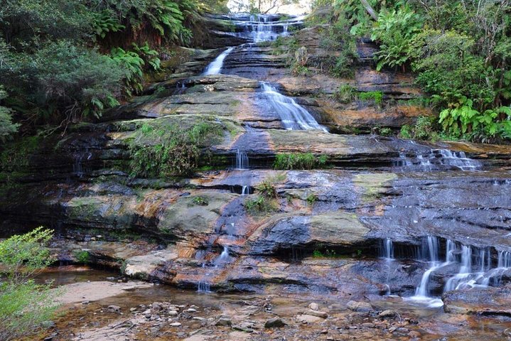 Blue Mountains Day Trip From Sydney With Amazing Lookouts (Private Tour) - Tourism Hervey Bay 4