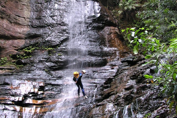 Full-Day Canyoning Experience at Stunning Empress Canyon - Southport Accommodation