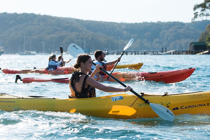 Pittwater Discovery Kayaking Tour - thumb 2