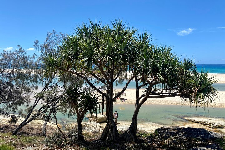 Full-Day Small Group Tour To North Stradbroke Island - Dalby Accommodation 5