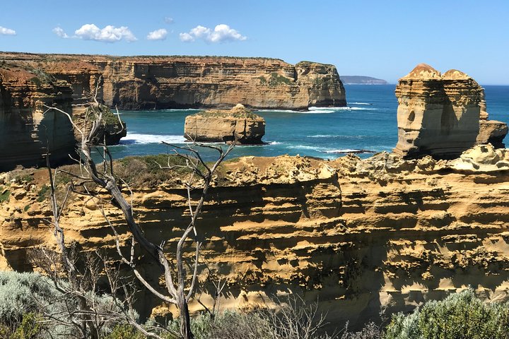 Great Ocean Road Reverse Itinerary Tour - Accommodation Great Ocean Road 1