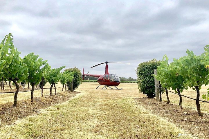 Private Helicopter Flight To Hunter Valley With A La Carte Lunch - For 2 - thumb 4
