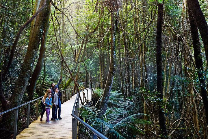 Blue Mountains Private Tour With Wildlife Park And River Cruise - Accommodation Yamba 4