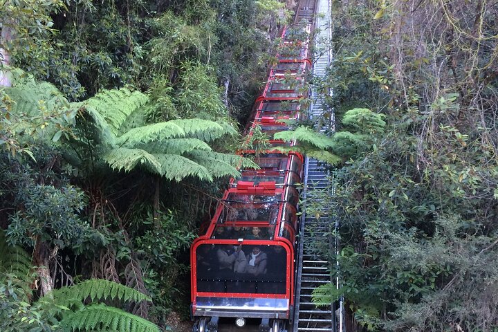 Blue Mountains Private Full-Day Tour From Sydney With Cruise - Accommodation Brunswick Heads 5
