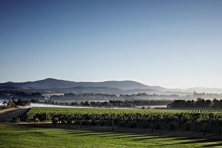 Chauffeur Driven Yarra Valley Group Wine Tour - Up To 7 - thumb 2