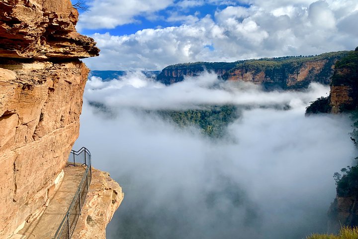 Private Guided: Blue Mountains Hiking & Nature Tour - Wagga Wagga Accommodation 5