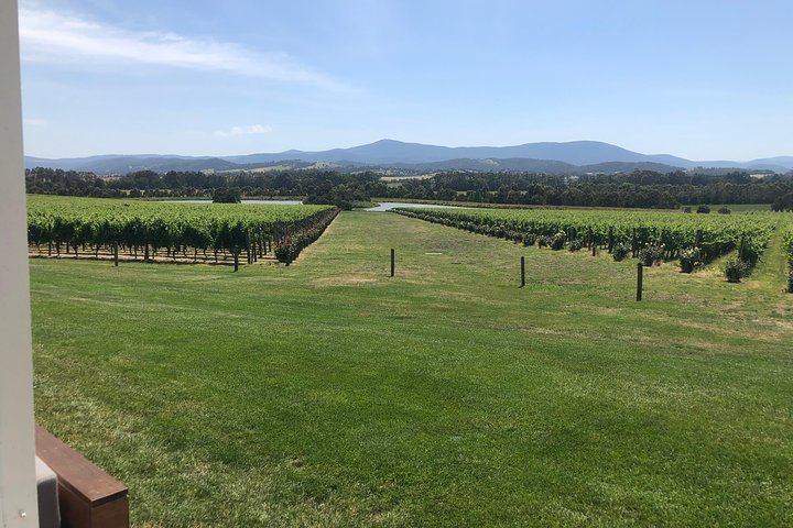 Yarra Valley, Dandenong Ranges Inc. Lunch With Wine,plus Morning Tea,chocolate - thumb 3