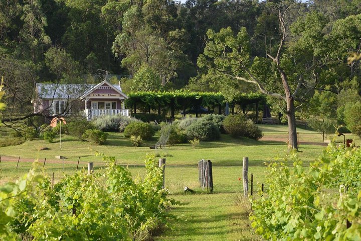 Day Trip With Chef-Led Hunter Valley Gourmet Food And Wine From Sydney - thumb 4