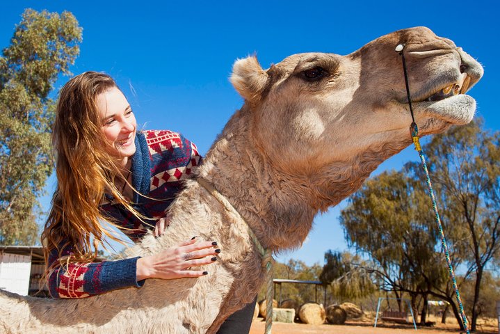 Alice Springs Camel Tour - thumb 2