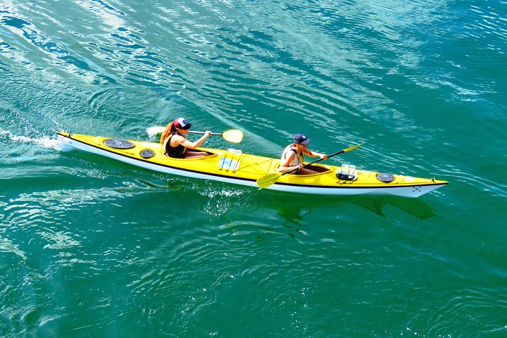 Self-Guided Sydney Middle Harbour Kayak 3 Hour Tour By Double Kayak - thumb 1