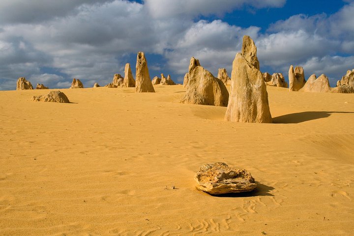 The Pinnacles Sea and Dunescapes Bush Reserve and Sunset Day Tour - Accommodation Kalgoorlie